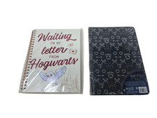 "Aspettando la mia lettera da